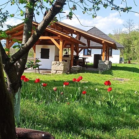 Casa Livada Bunicii Villa Tîrgu Ocna Dış mekan fotoğraf