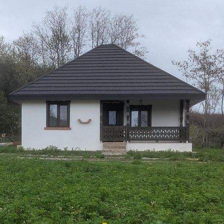 Casa Livada Bunicii Villa Tîrgu Ocna Dış mekan fotoğraf