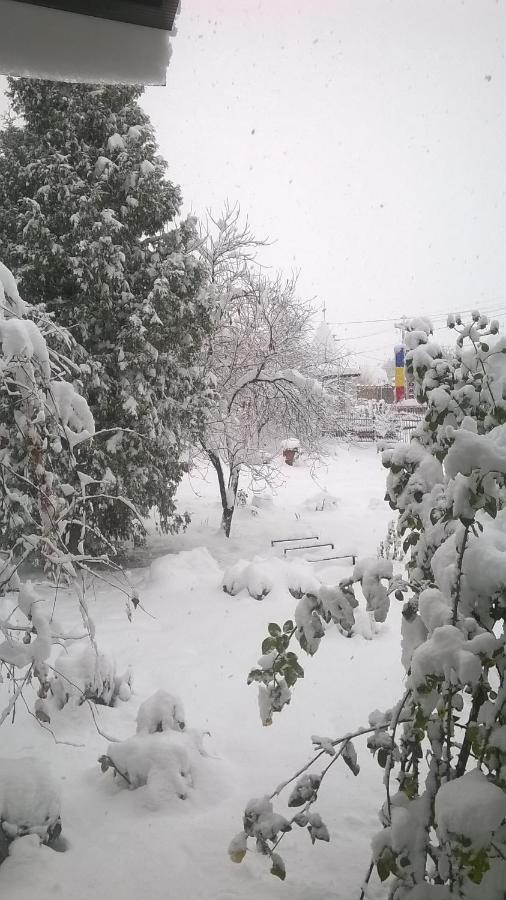 Casa Livada Bunicii Villa Tîrgu Ocna Dış mekan fotoğraf