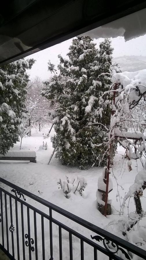 Casa Livada Bunicii Villa Tîrgu Ocna Dış mekan fotoğraf