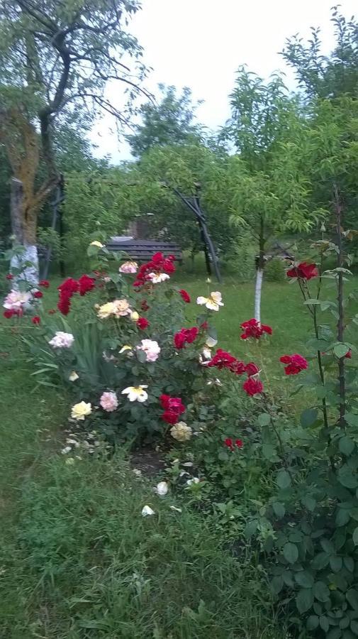 Casa Livada Bunicii Villa Tîrgu Ocna Dış mekan fotoğraf