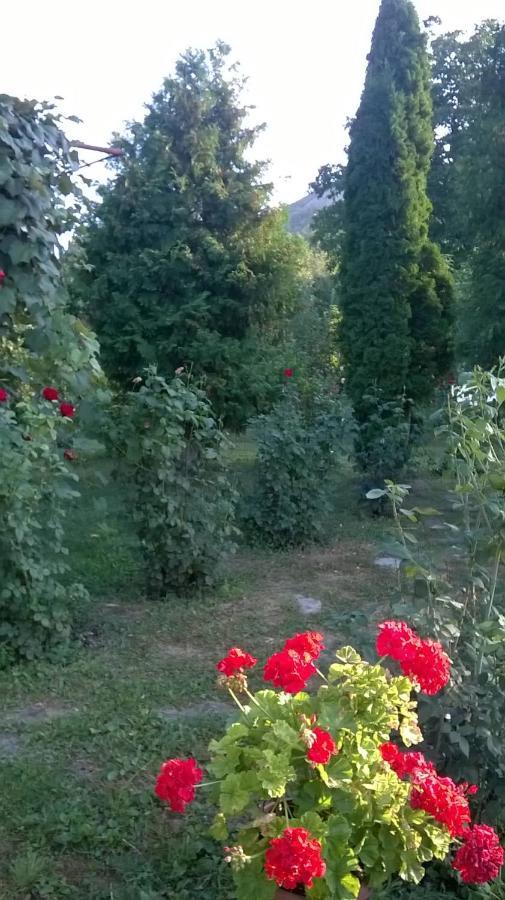 Casa Livada Bunicii Villa Tîrgu Ocna Dış mekan fotoğraf