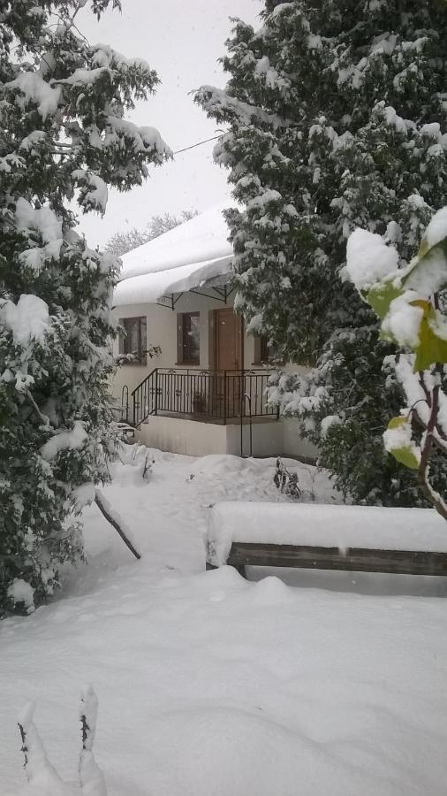 Casa Livada Bunicii Villa Tîrgu Ocna Dış mekan fotoğraf