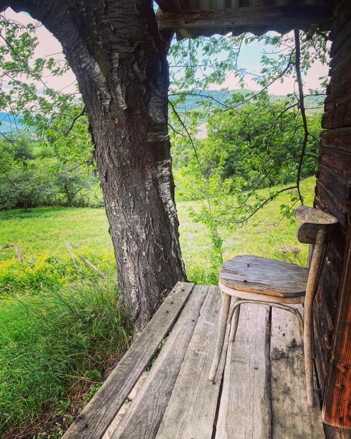 Casa Livada Bunicii Villa Tîrgu Ocna Dış mekan fotoğraf