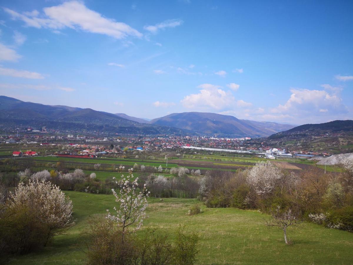 Casa Livada Bunicii Villa Tîrgu Ocna Dış mekan fotoğraf