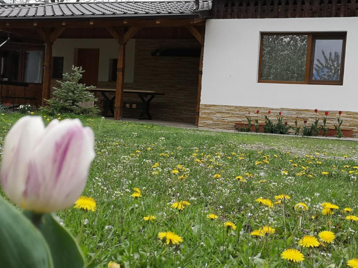 Casa Livada Bunicii Villa Tîrgu Ocna Dış mekan fotoğraf