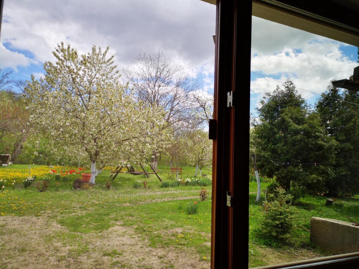 Casa Livada Bunicii Villa Tîrgu Ocna Dış mekan fotoğraf