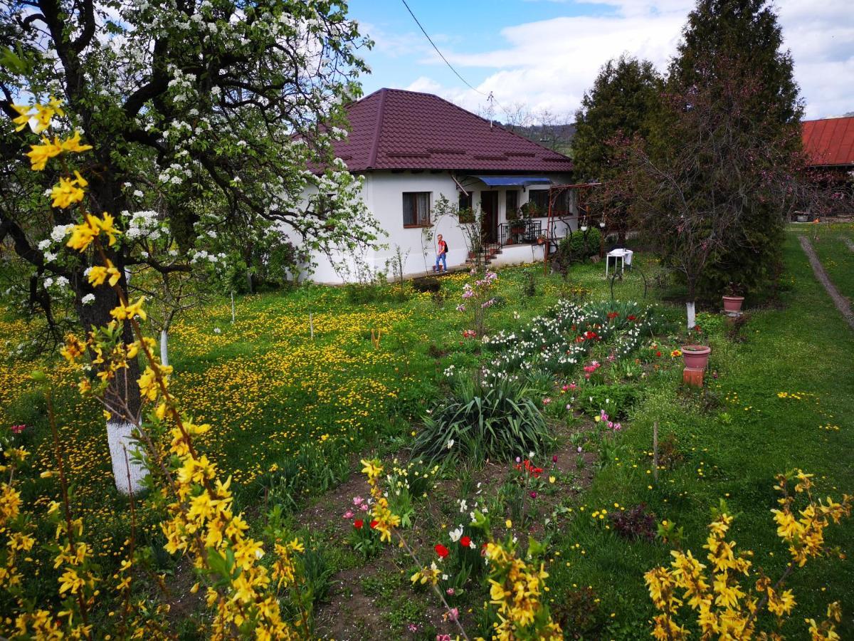 Casa Livada Bunicii Villa Tîrgu Ocna Dış mekan fotoğraf