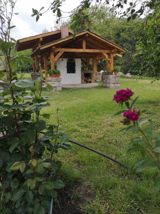 Casa Livada Bunicii Villa Tîrgu Ocna Dış mekan fotoğraf