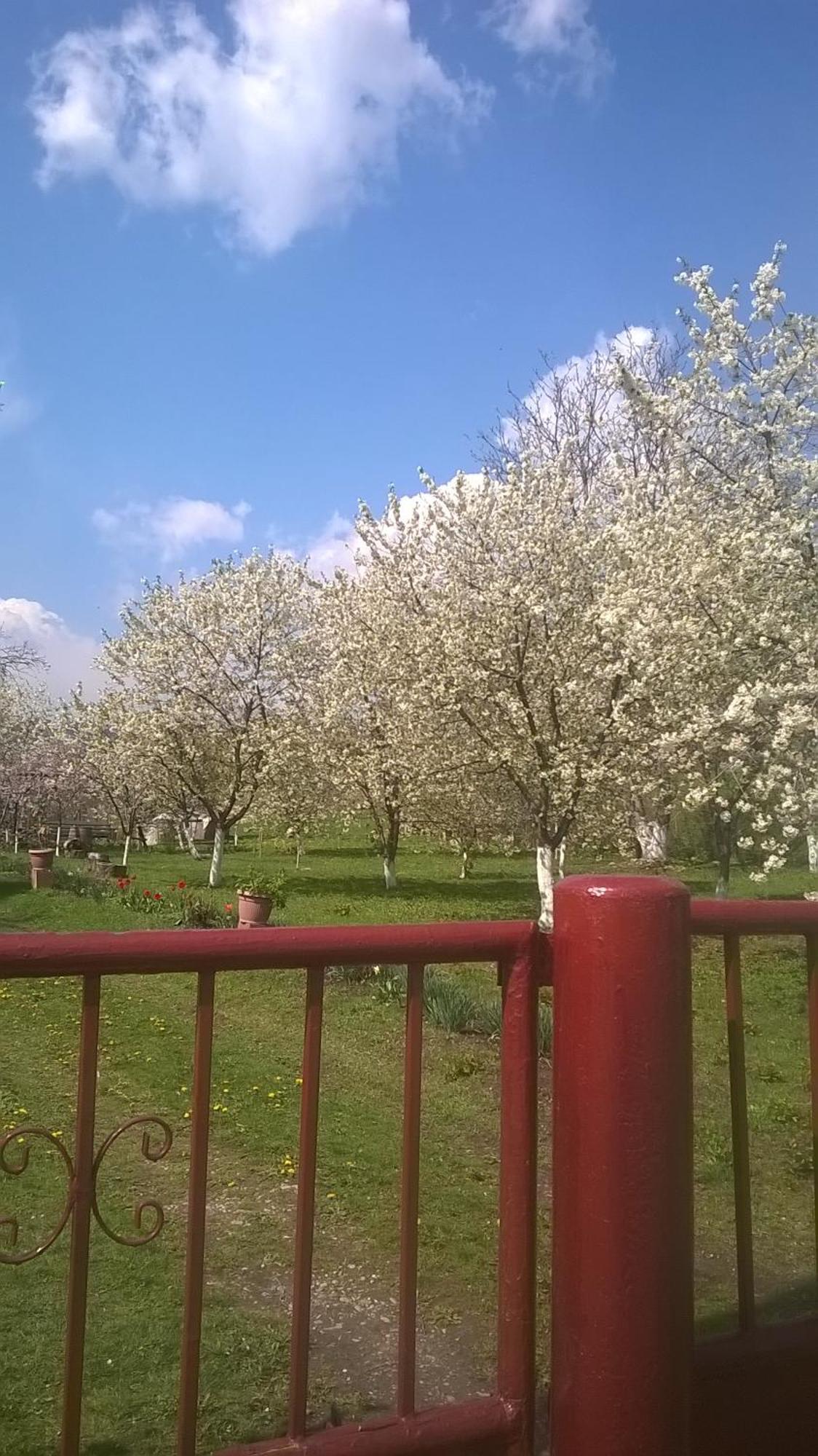 Casa Livada Bunicii Villa Tîrgu Ocna Dış mekan fotoğraf