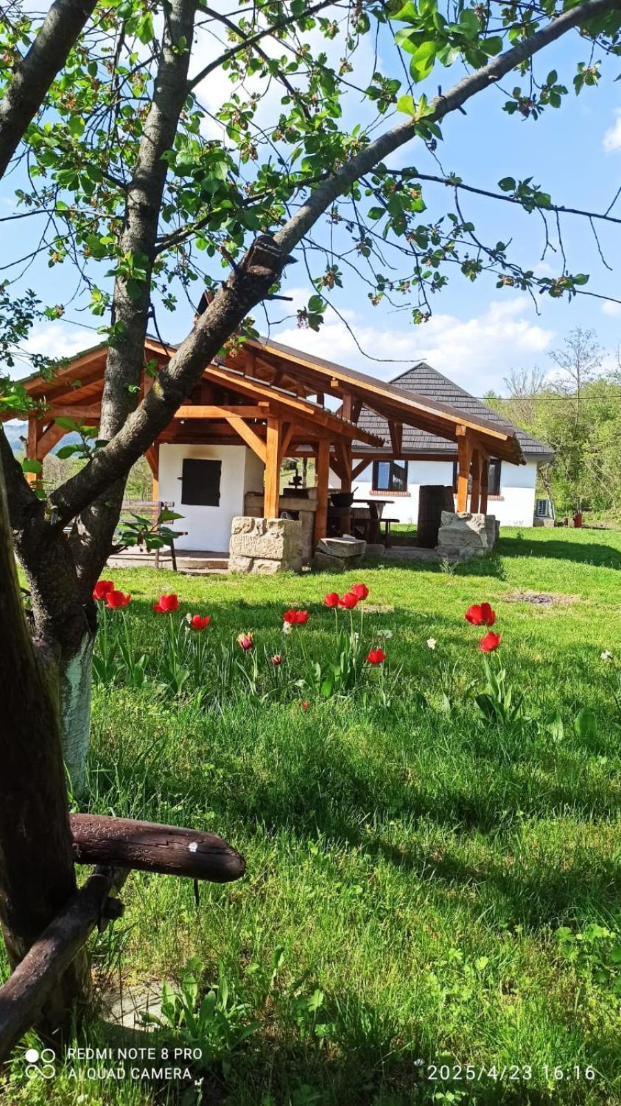 Casa Livada Bunicii Villa Tîrgu Ocna Dış mekan fotoğraf