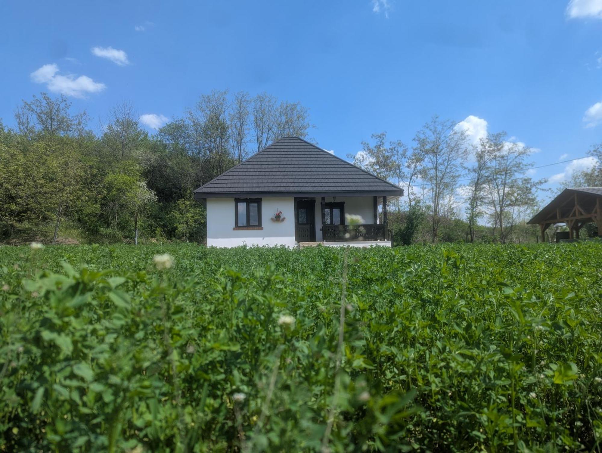 Casa Livada Bunicii Villa Tîrgu Ocna Oda fotoğraf